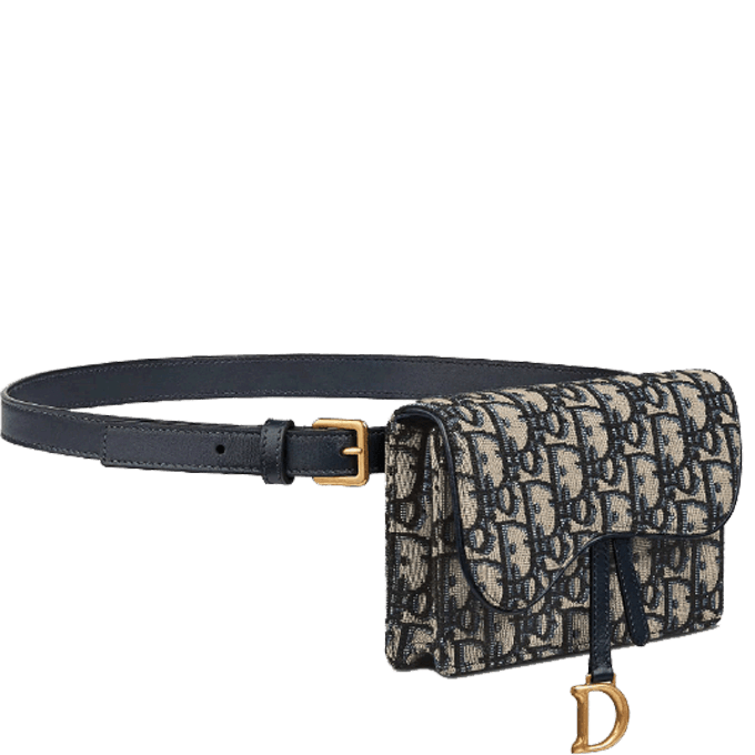 Dior Saddle Belt Pouch