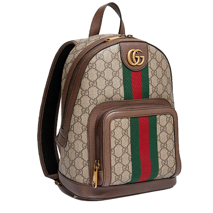 Gucci Ophidia GG Small Backpack