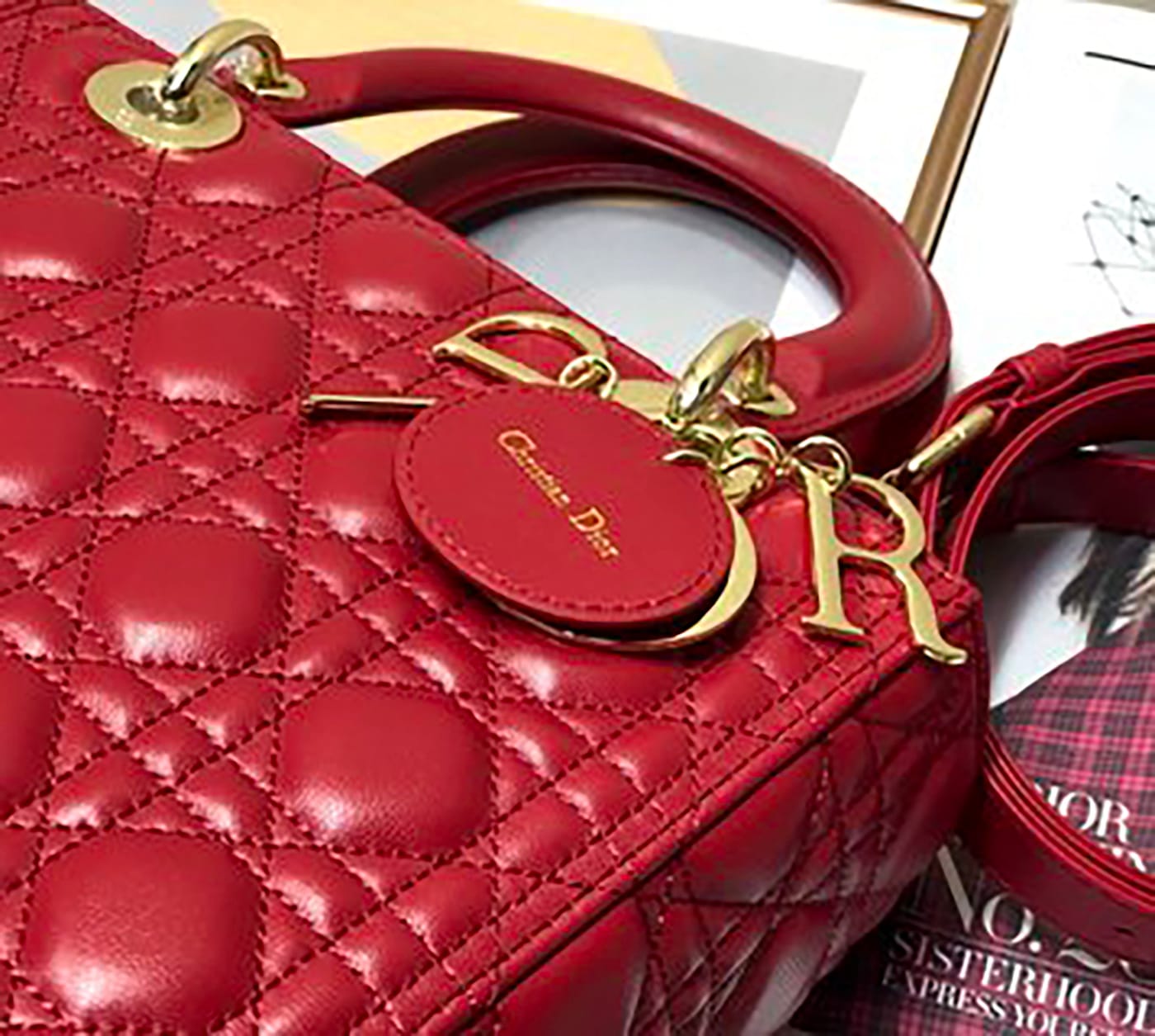 Medium Lady Dior Soft Leather Bag - Imagem 16
