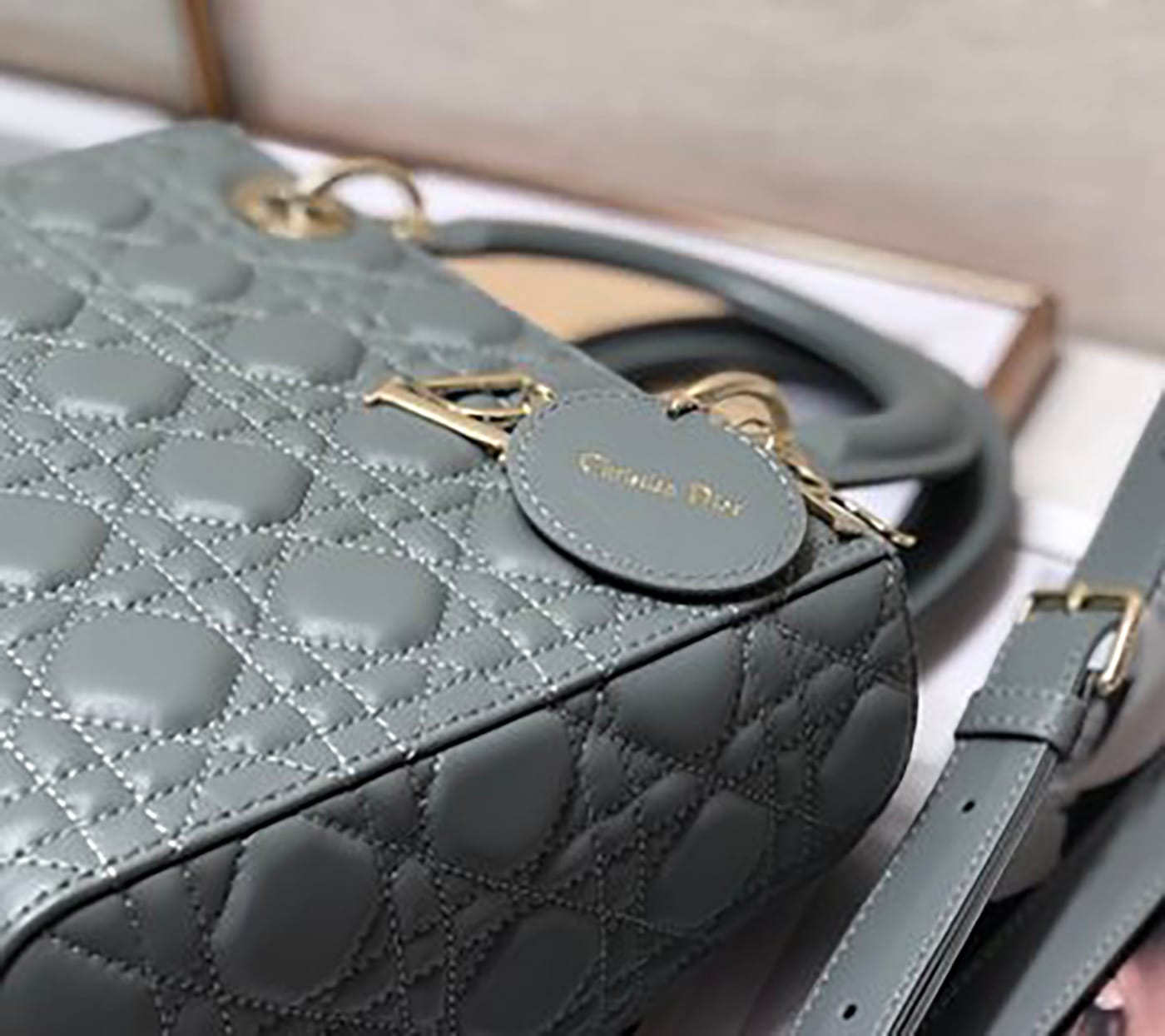 Medium Lady Dior Soft Leather Bag - Imagem 20